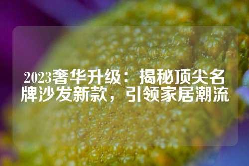 2023奢华升级：揭秘顶尖名牌沙发新款，引领家居潮流