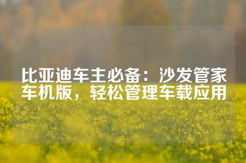 比亚迪车主必备：沙发管家车机版，轻松管理车载应用