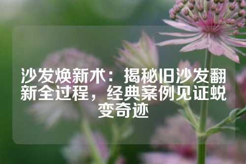 沙发焕新术：揭秘旧沙发翻新全过程，经典案例见证蜕变奇迹