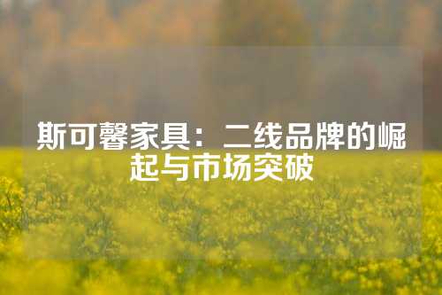 斯可馨家具：二线品牌的崛起与市场突破