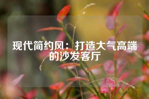 现代简约风：打造大气高端的沙发客厅