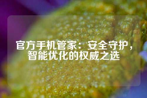 官方手机管家：安全守护，智能优化的权威之选