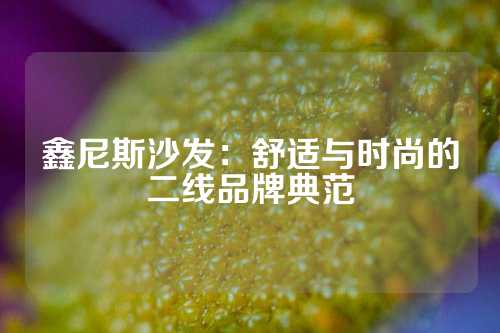 鑫尼斯沙发：舒适与时尚的二线品牌典范