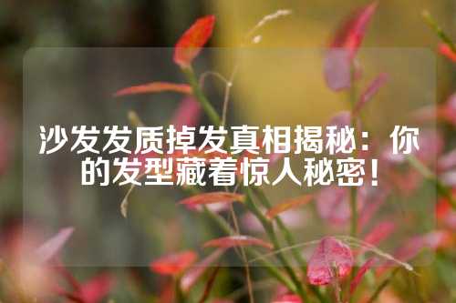 沙发发质掉发真相揭秘：你的发型藏着惊人秘密！