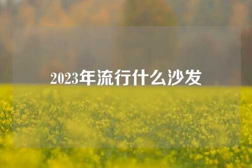2023年流行什么沙发