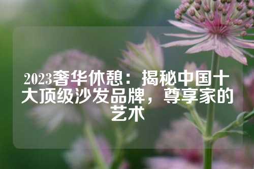 2023奢华休憩：揭秘中国十大顶级沙发品牌，尊享家的艺术