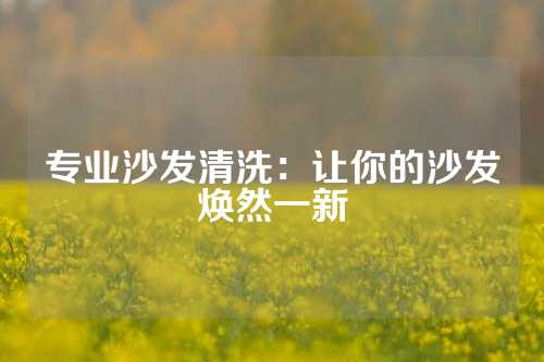 专业沙发清洗:让你的沙发焕然一新