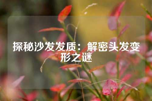 探秘沙发发质：解密头发变形之谜