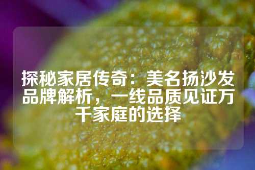 探秘家居传奇：美名扬沙发品牌解析，一线品质见证万千家庭的选择