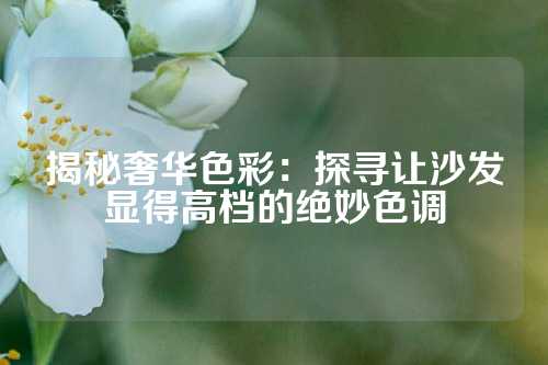 揭秘奢华色彩：探寻让沙发显得高档的绝妙色调