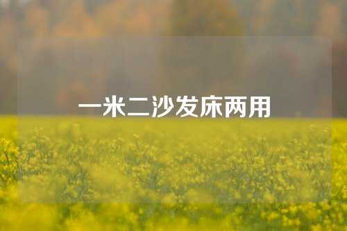 一米二沙发床两用