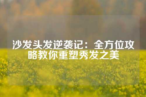 沙发头发逆袭记：全方位攻略教你重塑秀发之美