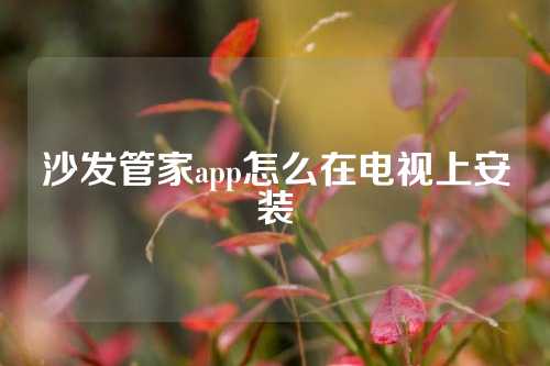 沙发管家app怎么在电视上安装
