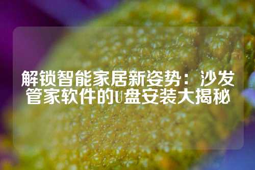解锁智能家居新姿势：沙发管家软件的U盘安装大揭秘