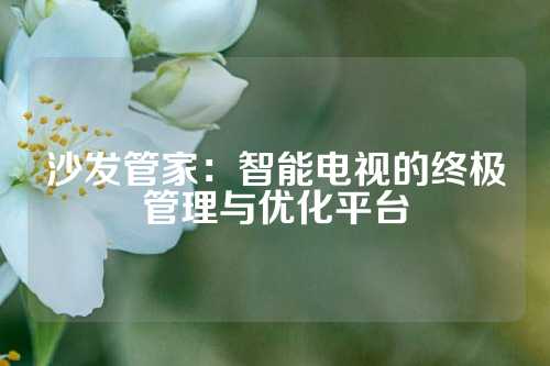 沙发管家：智能电视的终极管理与优化平台