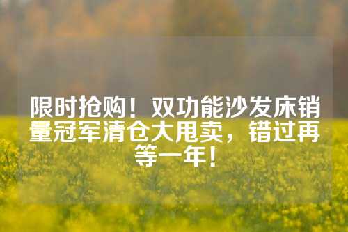 限时抢购！双功能沙发床销量冠军清仓大甩卖，错过再等一年！
