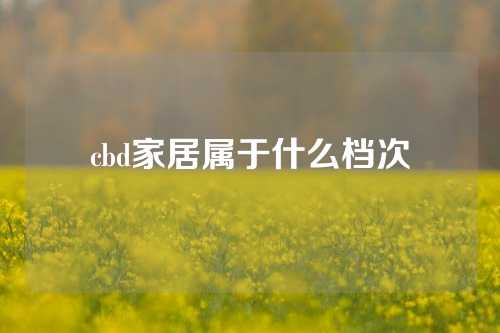 cbd家居属于什么档次