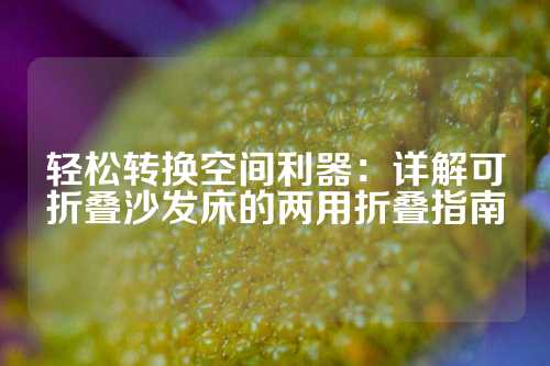 轻松转换空间利器：详解可折叠沙发床的两用折叠指南