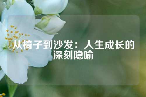 从椅子到沙发：人生成长的深刻隐喻