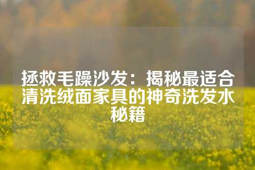拯救毛躁沙发：揭秘最适合清洗绒面家具的神奇洗发水秘籍