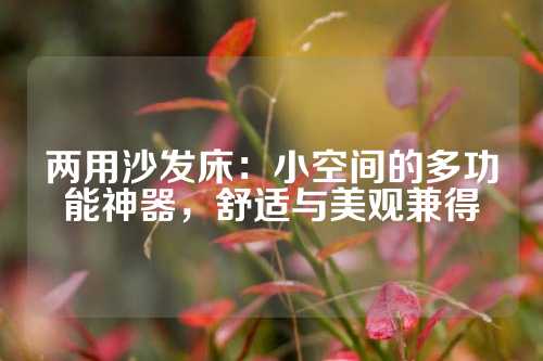两用沙发床：小空间的多功能神器，舒适与美观兼得