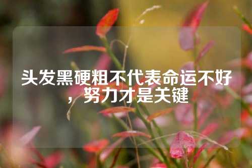 头发黑硬粗不代表命运不好，努力才是关键