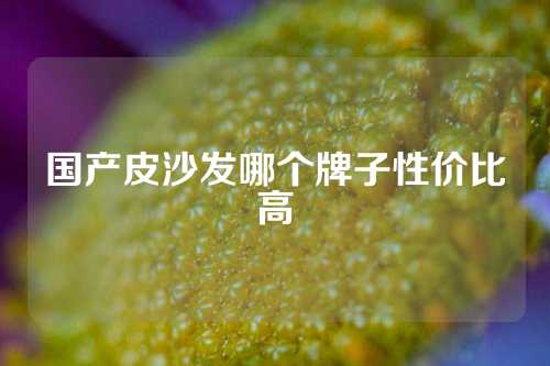 国产皮沙发哪个牌子性价比高