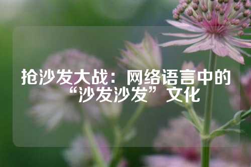 抢沙发大战：网络语言中的“沙发沙发”文化