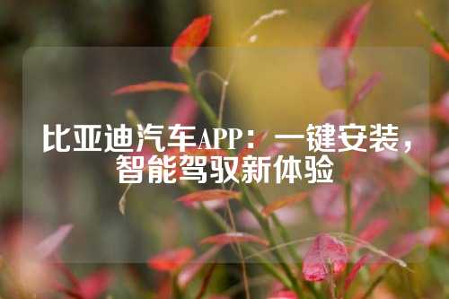 比亚迪汽车APP：一键安装，智能驾驭新体验