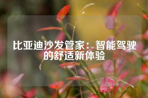 比亚迪沙发管家：智能驾驶的舒适新体验