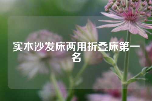 实木沙发床两用折叠床第一名