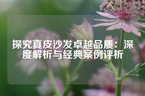 探究真皮沙发卓越品质：深度解析与经典案例评析