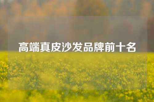 高端真皮沙发品牌前十名