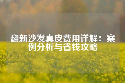 翻新沙发真皮费用详解：案例分析与省钱攻略