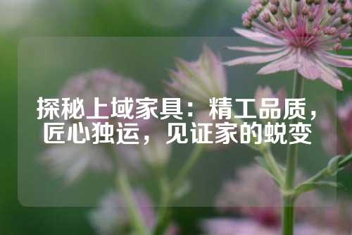 探秘上域家具：精工品质，匠心独运，见证家的蜕变