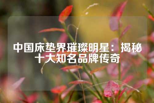 中国床垫界璀璨明星:揭秘十大知名品牌传奇