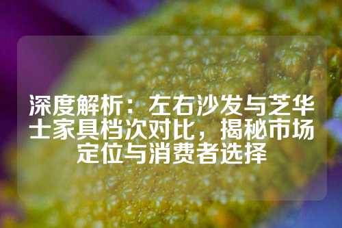 深度解析：左右沙发与芝华士家具档次对比，揭秘市场定位与消费者选择