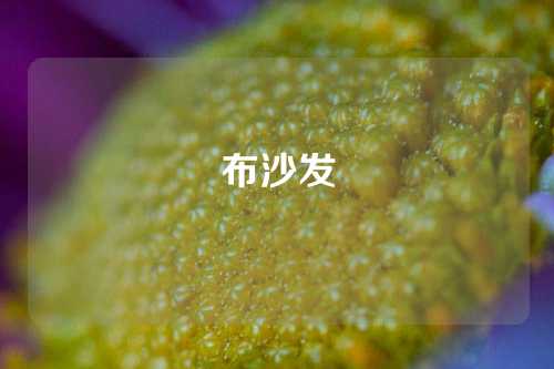 布沙发