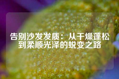 告别沙发发质：从干燥蓬松到柔顺光泽的蜕变之路
