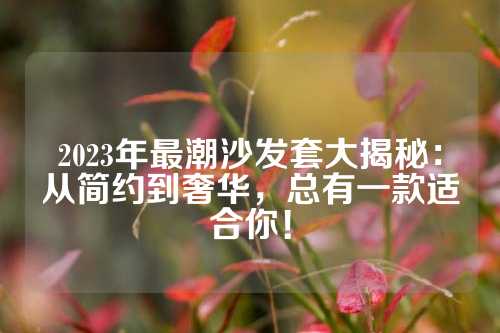 2023年最潮沙发套大揭秘：从简约到奢华，总有一款适合你！