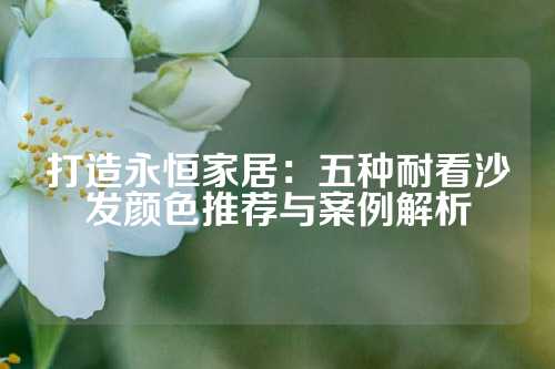 打造永恒家居：五种耐看沙发颜色推荐与案例解析