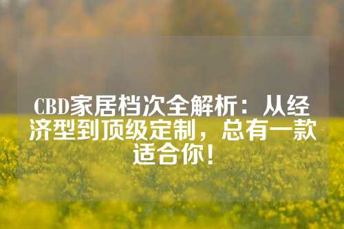 CBD家居档次全解析：从经济型到顶级定制，总有一款适合你！
