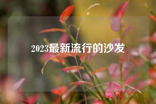 2023最新流行的沙发