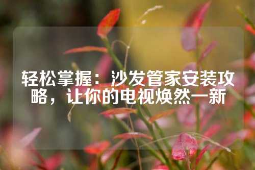 轻松掌握：沙发管家安装攻略，让你的电视焕然一新