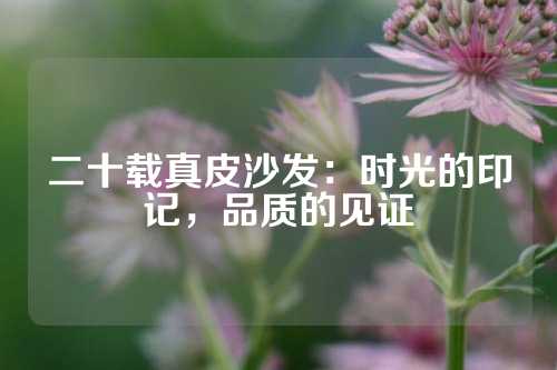 二十载真皮沙发：时光的印记，品质的见证