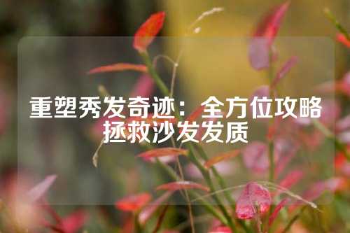 重塑秀发奇迹：全方位攻略拯救沙发发质
