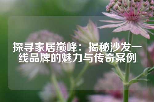 探寻家居巅峰：揭秘沙发一线品牌的魅力与传奇案例