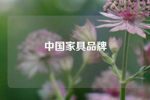 中国家具品牌
