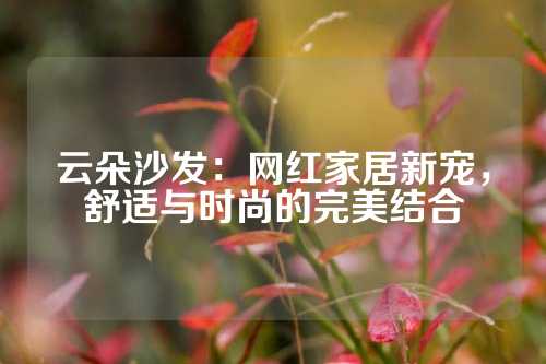 云朵沙发：网红家居新宠，舒适与时尚的完美结合