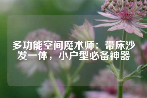 多功能空间魔术师:带床沙发一体,小户型必备神器